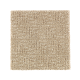 Casual Culture in Hearth Beige - Carpet by Mohawk Flooring