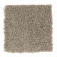 Classic Attraction in Safari Tan - Carpet by Mohawk Flooring