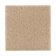 Nature's Charm II in Maple Tint - Carpet by Mohawk Flooring