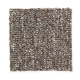 Memorabilia in Yosemite Range - Carpet by Mohawk Flooring