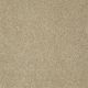 Silver Texture in Beach House - Carpet by Shaw Flooring