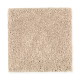 True Elegance II in Soft Suede - Carpet by Mohawk Flooring