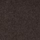 Shingle Creek IV 12' in Tundra - Carpet by Shaw Flooring