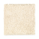 True Elegance II in Joyful Prelude - Carpet by Mohawk Flooring