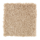 Beautiful Addition in Homemade - Carpet by Mohawk Flooring