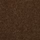 Harborfields I 15' in Patina - Carpet by Shaw Flooring