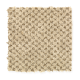 Unification in Aspen Bark - Carpet by Mohawk Flooring