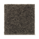 Stylish Silhouette in Boxwood - Carpet by Mohawk Flooring