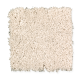 Beautiful Idea II in Vanilla Mint - Carpet by Mohawk Flooring