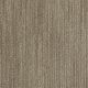 Via Lido in Cuddly Bear - Carpet by Shaw Flooring