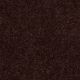 Elaine 12 in Coffee - Carpet by Shaw Flooring