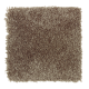 Delightful Cheer in Griffin - Carpet by Mohawk Flooring