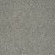 Gold Texture in London - Carpet by Shaw Flooring