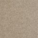 Roadside in Basketry - Carpet by Shaw Flooring