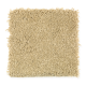 Truly Tender III in Carved Wood - Carpet by Mohawk Flooring