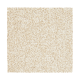 Striking Option in Mission - Carpet by Mohawk Flooring