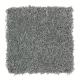 Classic Attraction in Urban Loft - Carpet by Mohawk Flooring