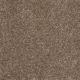 Fielder's Choice 12' in Rio Grande - Carpet by Shaw Flooring
