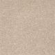 Sandy Hollow I 15' in Stucco - Carpet by Shaw Flooring