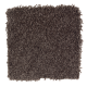 Classic Attraction in Coffee Bean - Carpet by Mohawk Flooring
