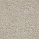 Delicate Distinction Classic I in Granite - Carpet by Shaw Flooring