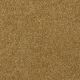 Our Delight I 15' in Golden Rod - Carpet by Shaw Flooring