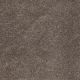 Flora in Gunmetal - Carpet by Shaw Flooring