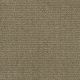 Great Start in Water Leaf - Carpet by Shaw Flooring