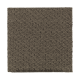 Naturally Elegant in Dried Peat - Carpet by Mohawk Flooring
