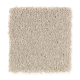 Edgewood Estates in Moonlighting - Carpet by Mohawk Flooring