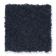 Chic Appearance in Old Glory - Carpet by Mohawk Flooring