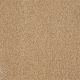 Luxury At Best in Maplewood North - Carpet by Shaw Flooring