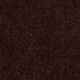Dyersburg Classic 12' in Coffee - Carpet by Shaw Flooring