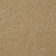 On Going II 12 in Straw Hat - Carpet by Shaw Flooring