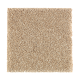 Nature's Appeal II in Natural Grain - Carpet by Mohawk Flooring