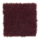 Benson Park in Bordeaux - Carpet by Mohawk Flooring