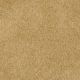 Key West in Seville - Carpet by Masland Carpets