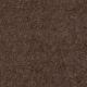 Newport in Young Doe - Carpet by Shaw Flooring