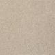 Stargazer in Sandpiper - Carpet by Shaw Flooring