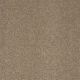 Secret Escape III 12 in Antique Parchment - Carpet by Shaw Flooring