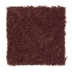 Alluring Ambition in Baked Apple - Carpet by Mohawk Flooring