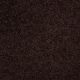 Newsline I 15' in Dark Roast - Carpet by Shaw Flooring