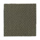 Naturally Elegant in Pine Needle - Carpet by Mohawk Flooring