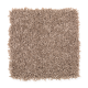 Stylish Silhouette in Malt - Carpet by Mohawk Flooring