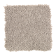Soft Attraction I in Gazelle - Carpet by Mohawk Flooring