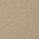 Different Times III 12 in Sugar Cookie - Carpet by Shaw Flooring