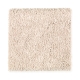 Woodcroft I in Biscotti - Carpet by Mohawk Flooring