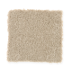 Iconic Idea Solid in Almond Torte - Carpet by Mohawk Flooring