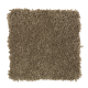 Comfortable Creation II in Wood Ash - Carpet by Mohawk Flooring