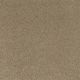 Quiet Comfort I in Llama - Carpet by Shaw Flooring